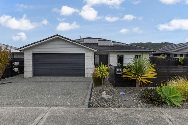 Photo of property in 118 John Burke Drive, Aotea, Porirua, 5024