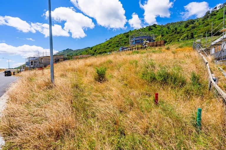 Photo of property in 87 Kotare Street, Waikanae, 5036