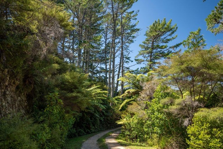 Photo of property in 51 Wharariki Road, Puponga, Collingwood, 7073