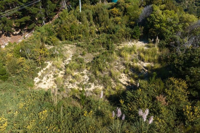 Photo of property in 318 Port Underwood Road, Whatamango Bay, Picton, 7281