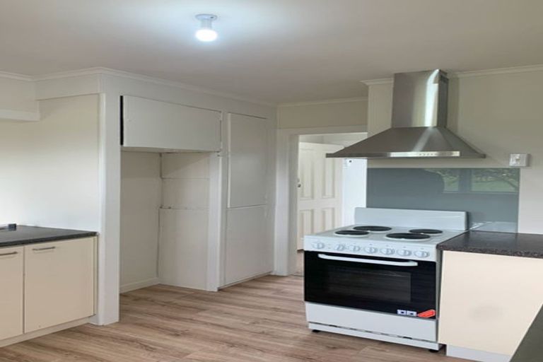 Photo of property in 223 Wright Road, Waiau Pa, Pukekohe, 2679