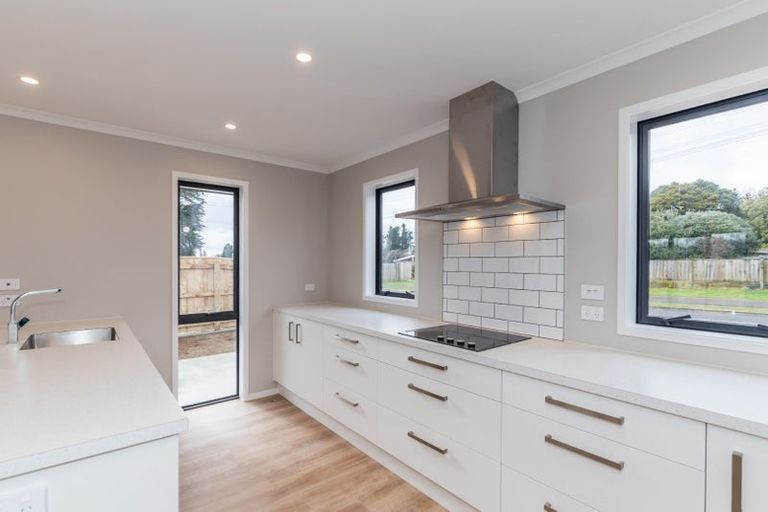 Photo of property in 93 Fairfield Road, Levin, 5510