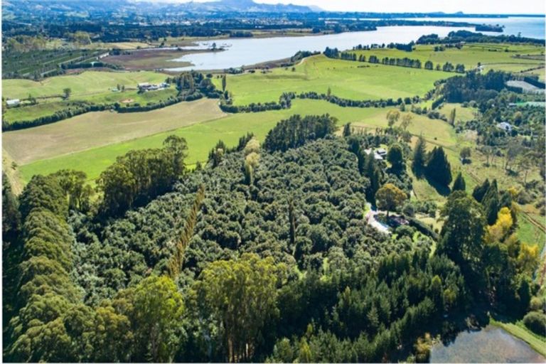 Photo of property in 159 Walker Road East, Aongatete, Katikati, 3178