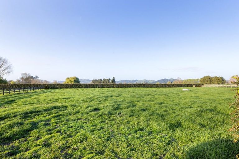 Photo of property in 365 Maungatautari Road, Cambridge, 3494