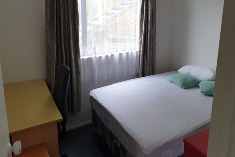 Photo of property in 14 Duddingstone Steps, North East Valley, Dunedin, 9010