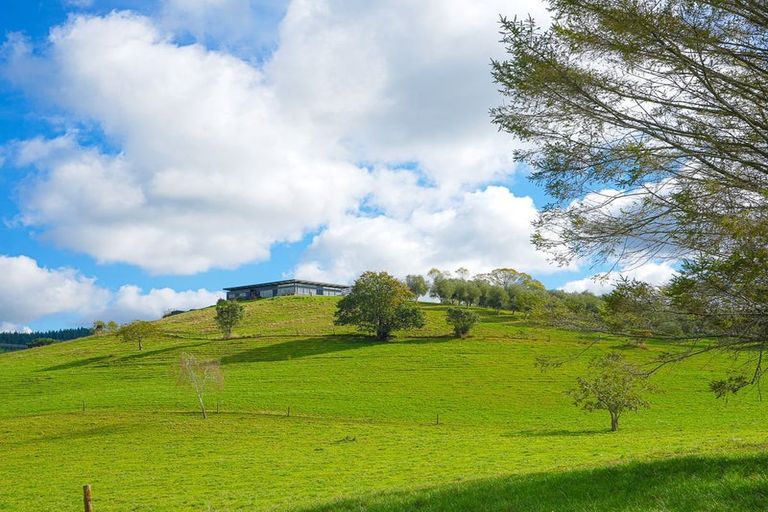 Photo of property in 563 Kopuku Road, Maramarua Forest, Te Kauwhata, 3781
