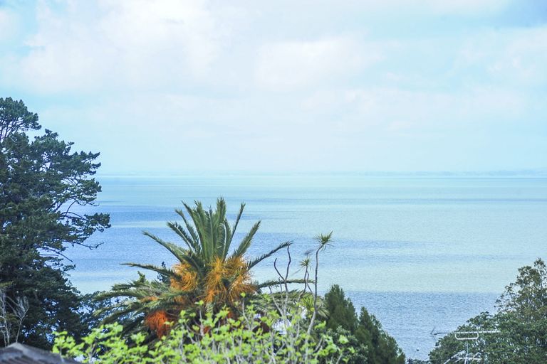 Photo of property in 217 Portage Road, Green Bay, Auckland, 0604