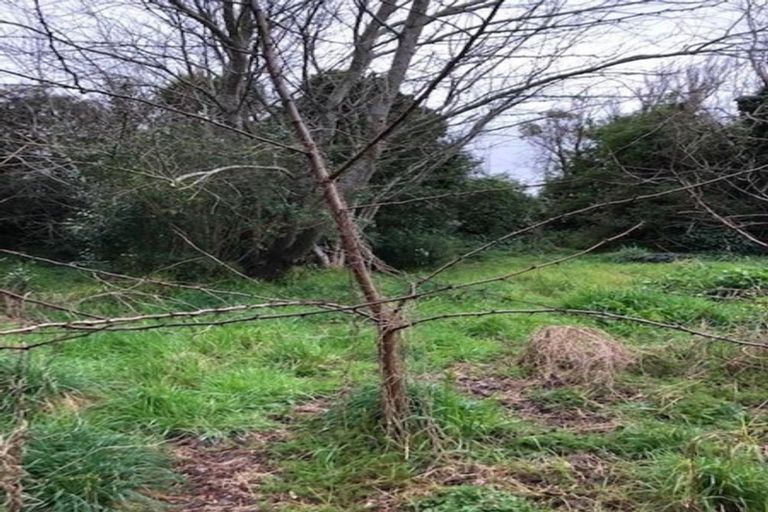 Photo of property in 26 Bedford Street, Patea, 4520