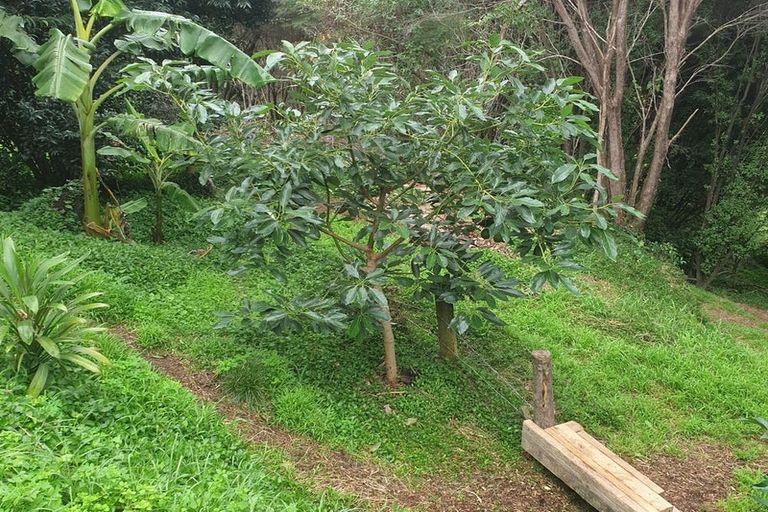 Photo of property in 17 Maddison Place, Welcome Bay, Tauranga, 3112