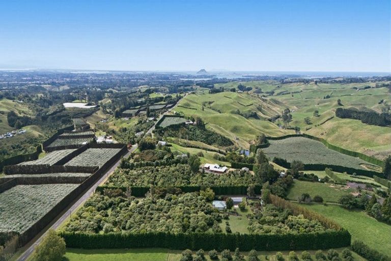 Photo of property in 151a Hereford Road, Oropi, Tauranga, 3173