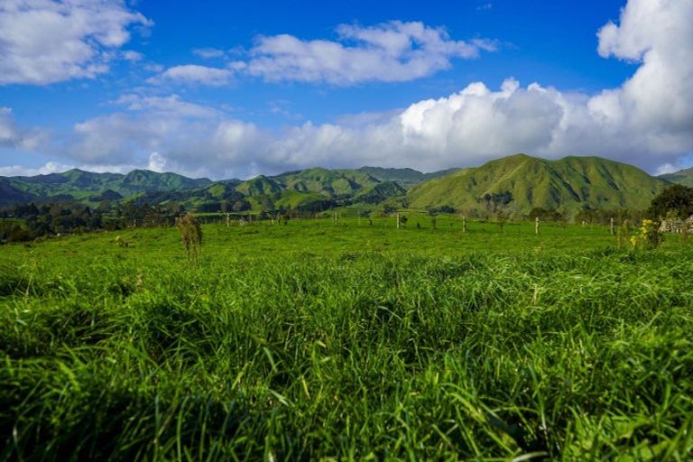 Photo of property in 141a Rawhiti Road, Te Aroha, 3392