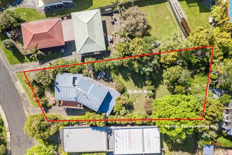 Photo of property in 20 Holt Avenue, Torbay, Auckland, 0630