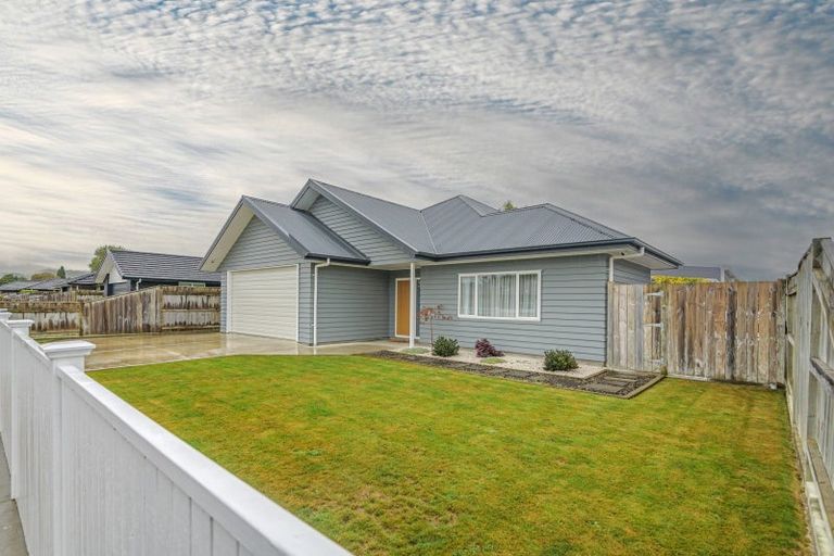 Photo of property in 31 Monarch Drive, Ashhurst, 4810