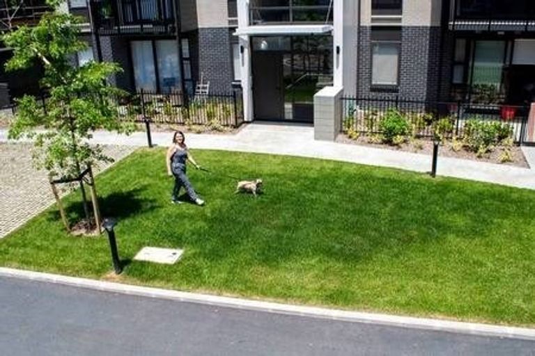 Photo of property in 20 Mason Avenue, Pukekohe, 2120