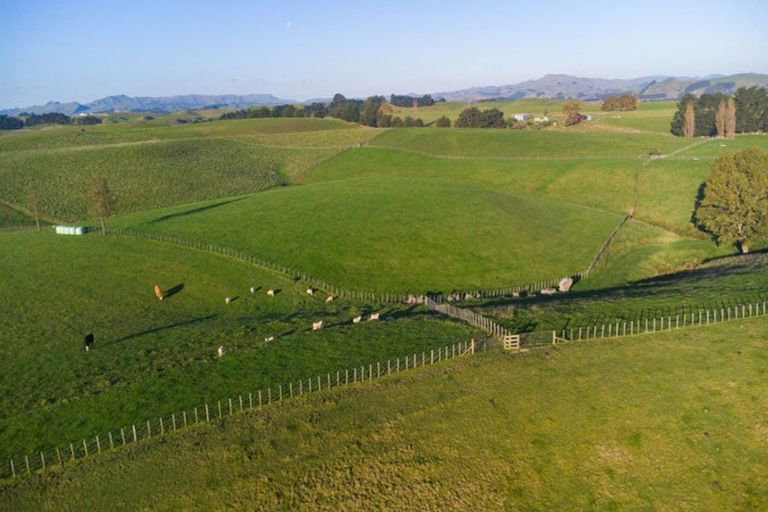 Photo of property in 180 Tipapakuku Road, Dannevirke, 4930