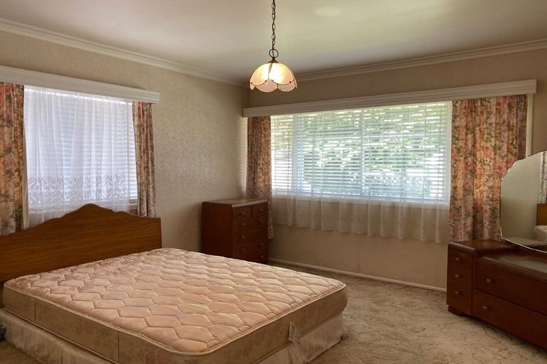 Photo of property in 24 Alison Street, Hamilton Lake, Hamilton, 3204