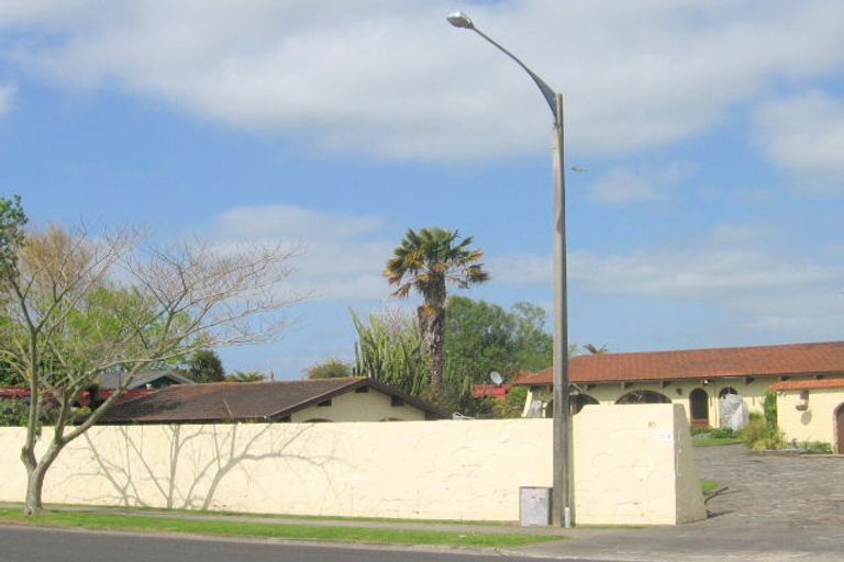 Photo of property in 85 Moorhouse Street, Morrinsville, 3300