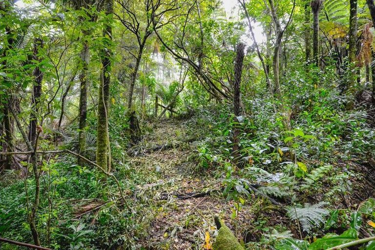 Photo of property in 708 South Titirangi Road, Titirangi, Auckland, 0604