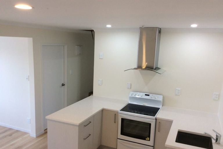 Photo of property in 17 Sapphire Place, Bayview, Auckland, 0629