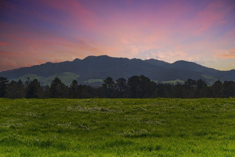 Photo of property in 14a Darby Road, Arapuni, Putaruru, 3481