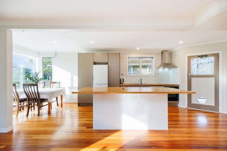 Photo of property in 132 Limbrick Street, Terrace End, Palmerston North, 4410