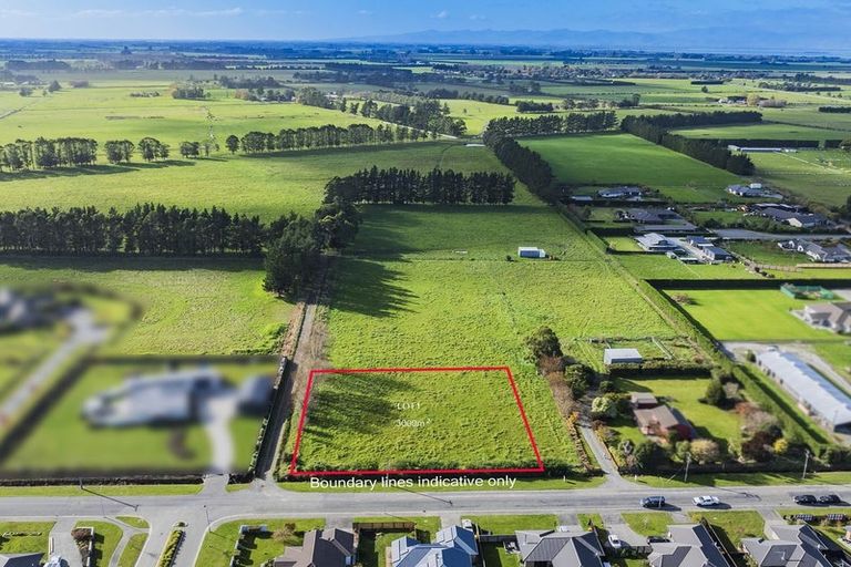 Photo of property in 84 Manse Road, Pleasant Point, 7983