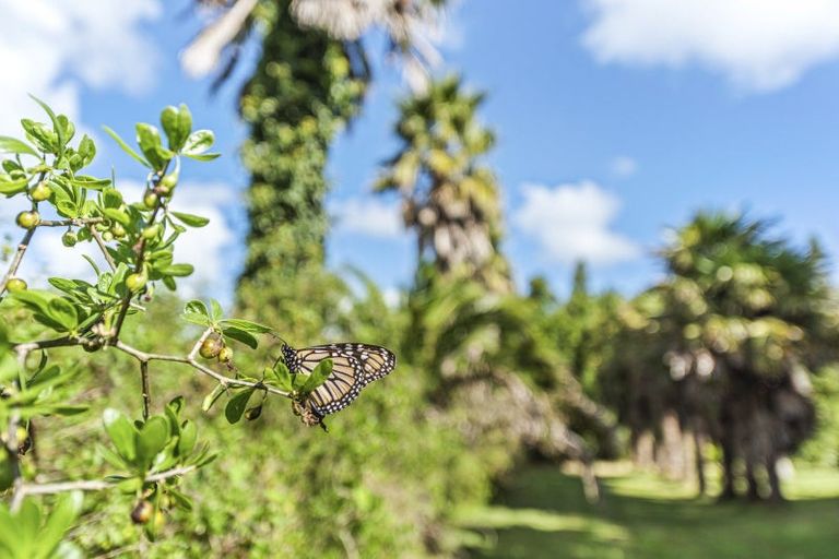 Photo of property in 6388a South Road, Pungarehu, 4685