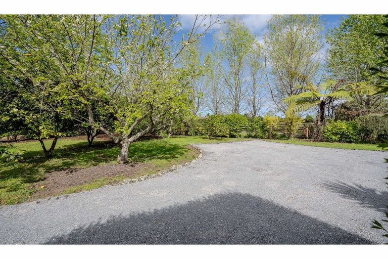Photo of property in 299 Waipapa Road, Waipapa, 0230