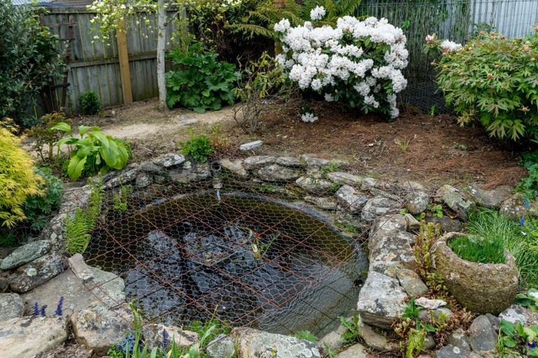 Photo of property in 17 Glenbrook Drive, Mosgiel, 9024