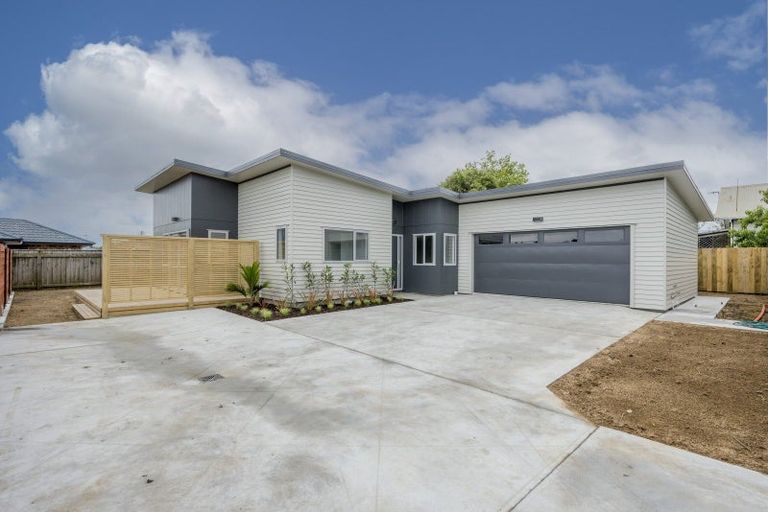 Photo of property in 52a Mako Mako Road, Levin, 5510