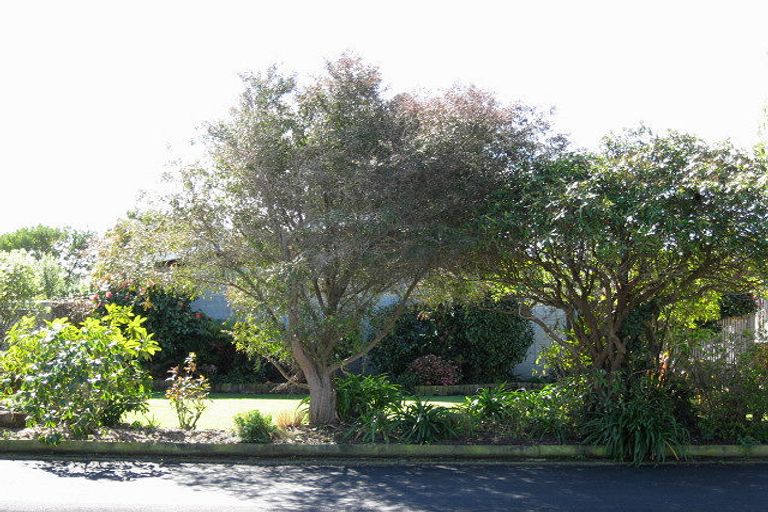 Photo of property in 16b Signal Street, Marton, 4710