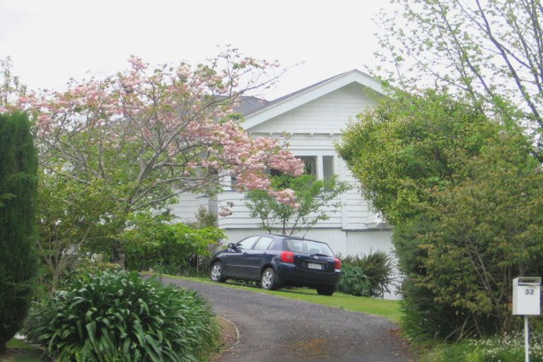 Photo of property in 32 Hill Street, Paeroa, 3600