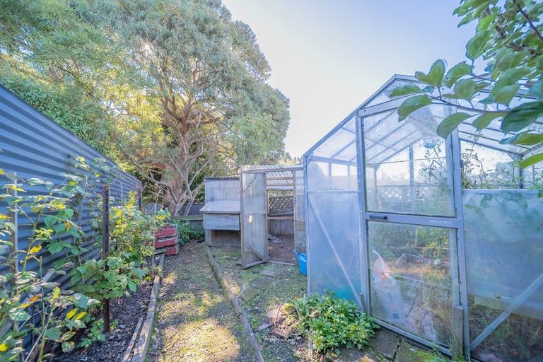 Photo of property in 1 Dame Street, Waikouaiti, 9510
