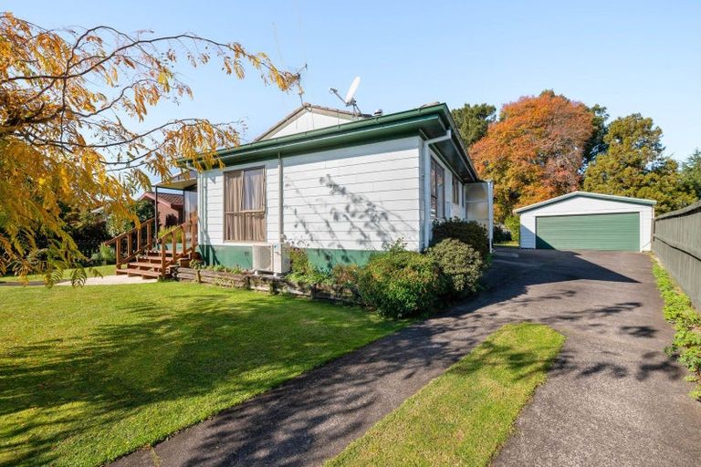Photo of property in 17 Hibiscus Avenue, Hamilton Lake, Hamilton, 3204