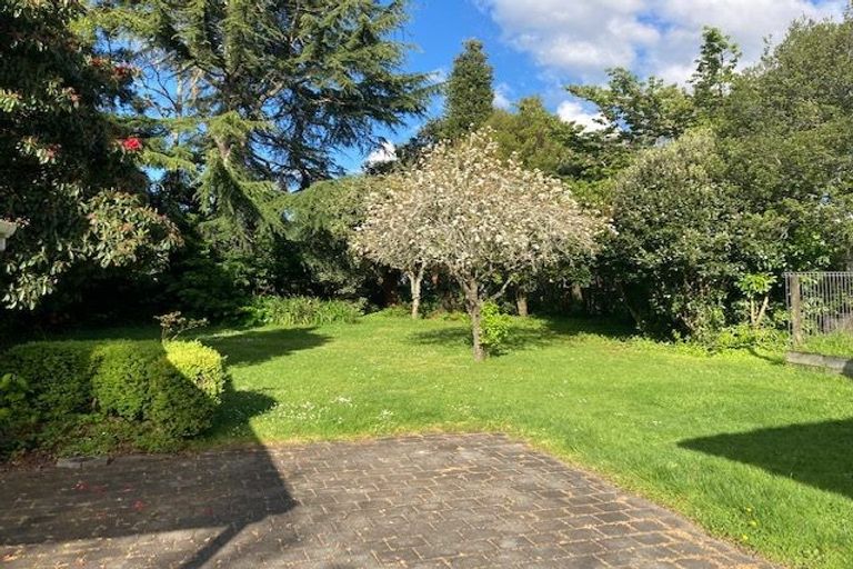 Photo of property in 24 Galloway Street, Hamilton East, Hamilton, 3216