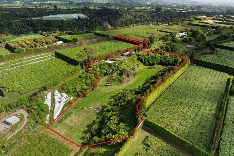 Photo of property in 575 No 2 Road, Te Puke, 3182
