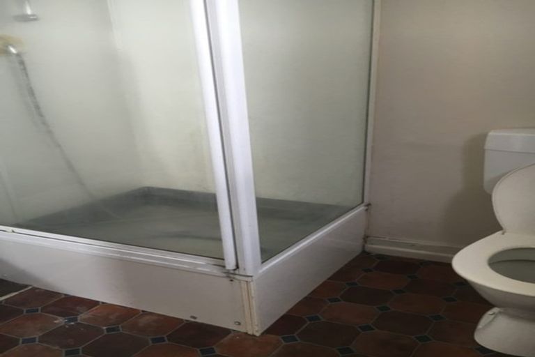 Photo of property in 397 Ulster Street, Beerescourt, Hamilton, 3200