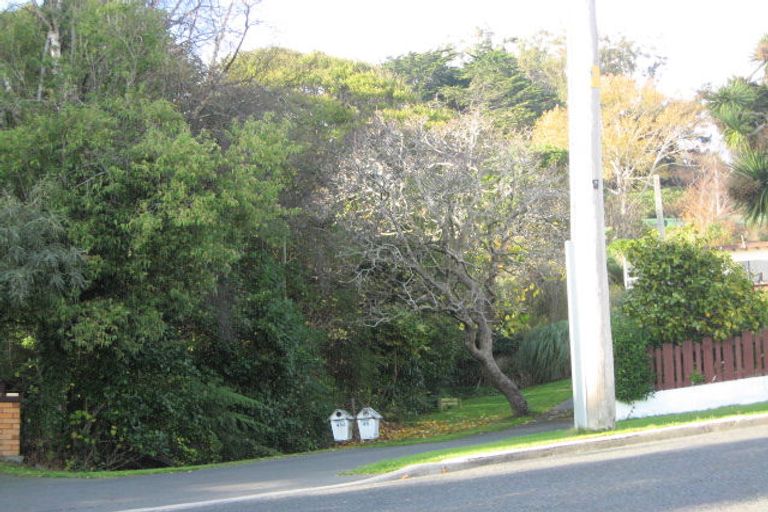 Photo of property in 45a Sunbury Street, Andersons Bay, Dunedin, 9013