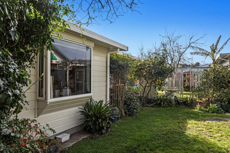 Photo of property in 31 James Street, Whakatane, 3120