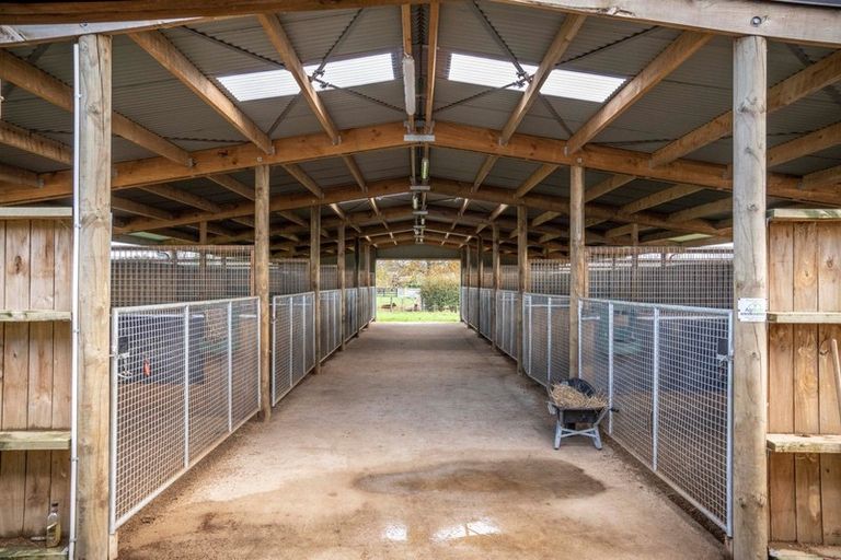 Photo of property in 2/101 Racecourse Road, Cambridge, 3493