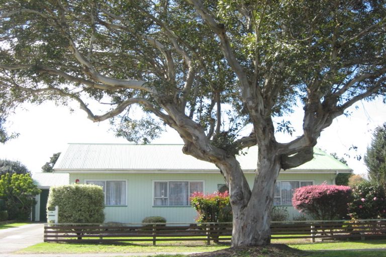 Photo of property in 39 Lahore Street, Wairoa, 4108