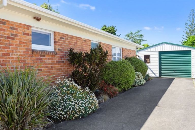 Photo of property in 189 James Street, Whakatane, 3120