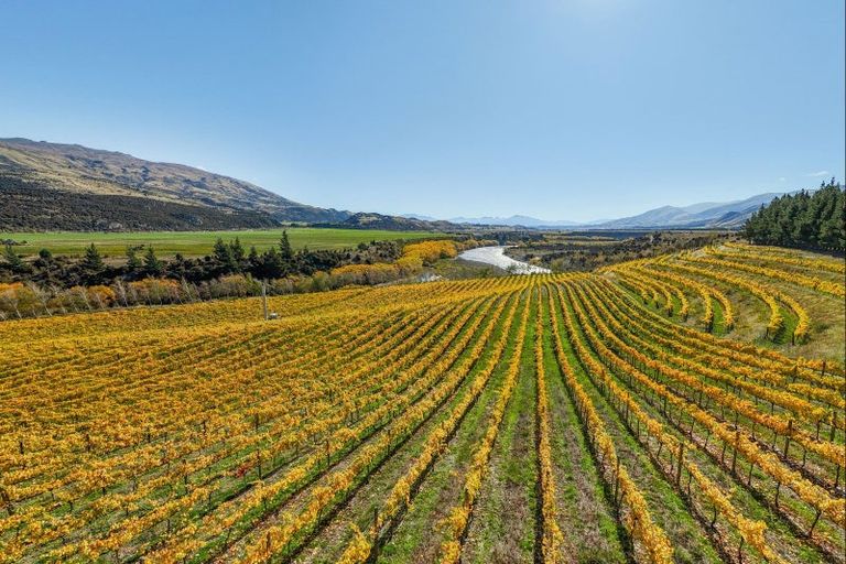 Photo of property in 1290 Luggate - Tarras Road, Tarras, Cromwell, 9383