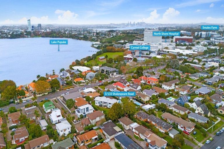 Photo of property in 3/133 Shakespeare Road, Milford, Auckland, 0620