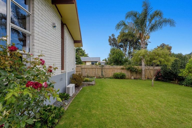 Photo of property in 237b King Street, Whakatane, 3120