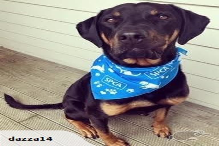 Photo of property in 35 Oswald Crescent, Paparangi, Wellington, 6037