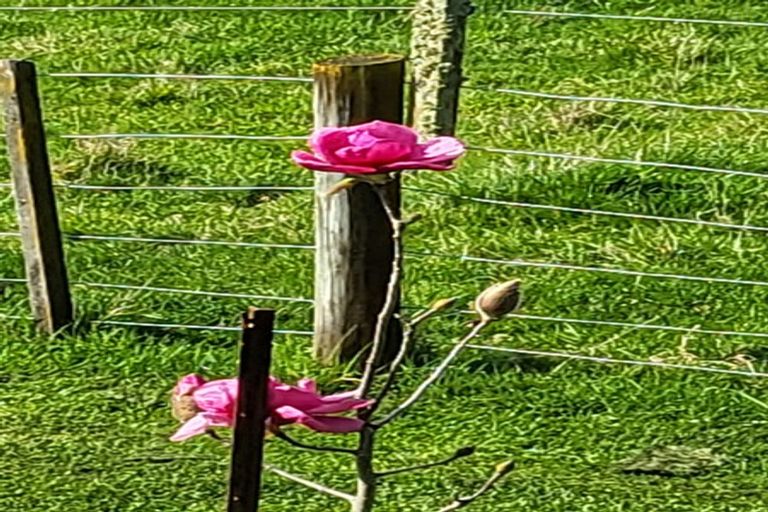 Photo of property in 1 Watts Street, Waipawa, 4210