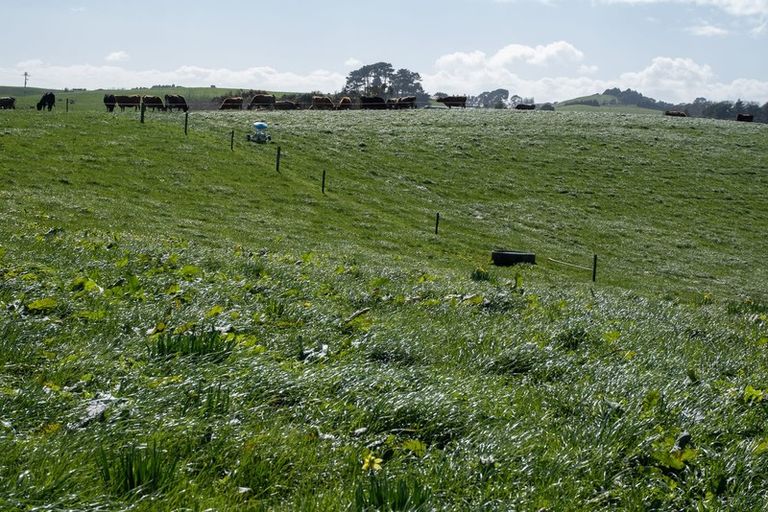 Photo of property in 697 Maungatawhiri Road, Raglan, 3295
