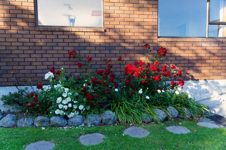 Photo of property in 283a Scarborough Street, Kaikoura, 7300