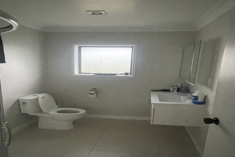 Photo of property in 32 Coronation Road, Hillcrest, Auckland, 0627